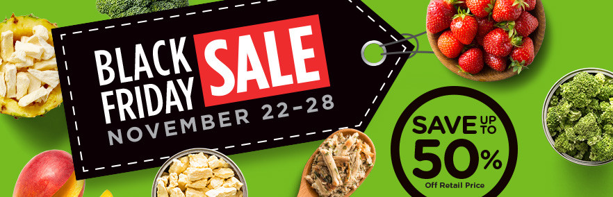 Black Friday Sale