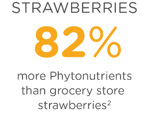 Strawberries have 82% more Phytonutrients